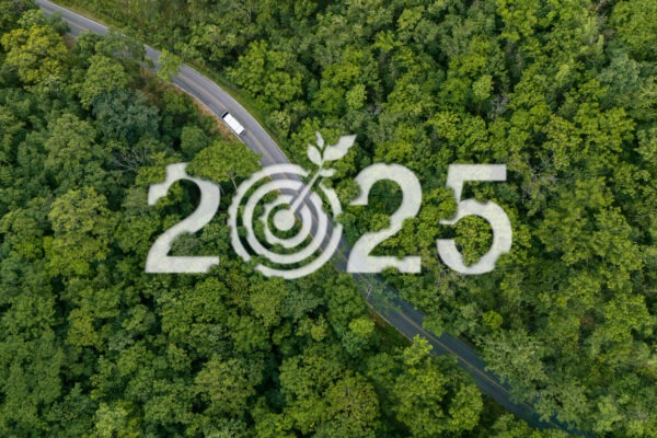 esg and csrd reporting 2025