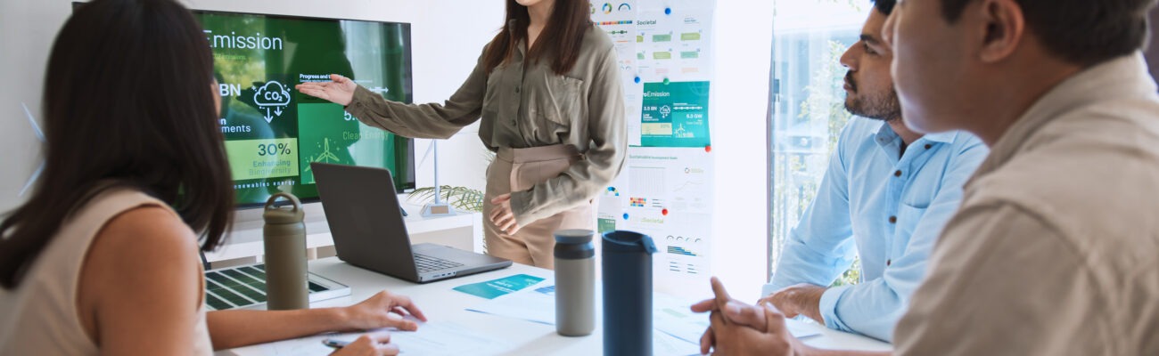 esg consulting consultant