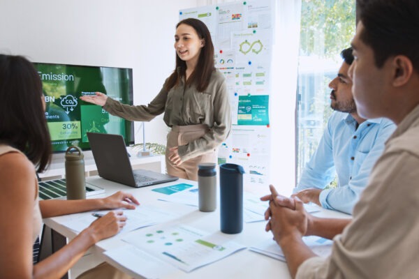 esg consulting consultant