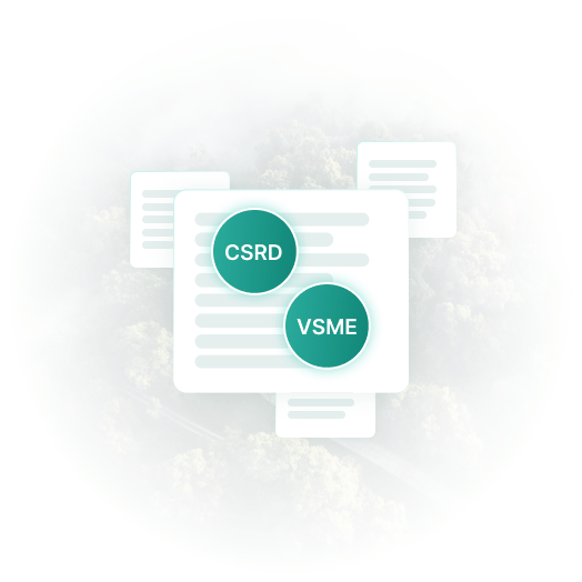 Pat Module Vsme VSME Reporting – A Lightweight Sustainability Solution for SMEs